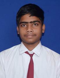 DEBASHIS GIRI